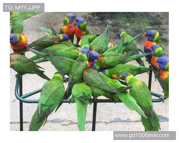 李丽的滑板人生:在城市街头与梦想深度对话的旅程